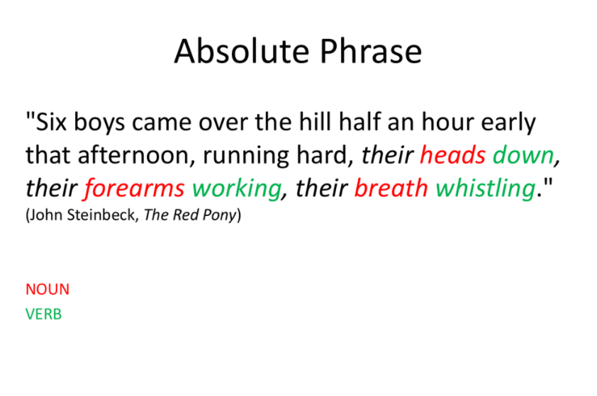 Worksheet On Absolute Phrase